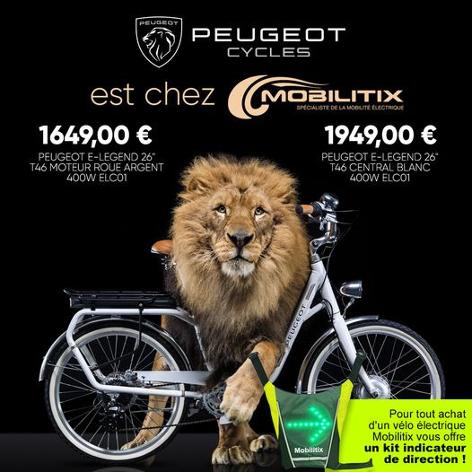 Choisir hotsell velo electrique