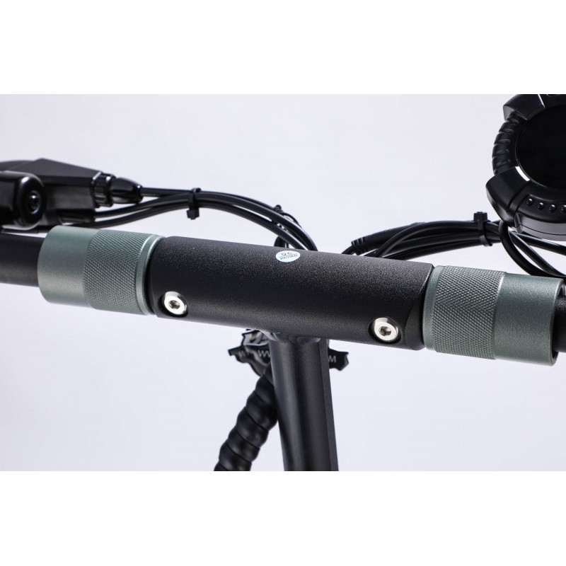 VSETT 8 LITE - NEW DISPLAY - 48V 15,6 Ah - Trottinette électrique